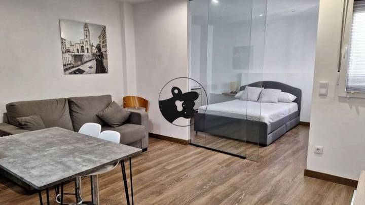 1 bedroom other in Oviedo, Asturias, Spain