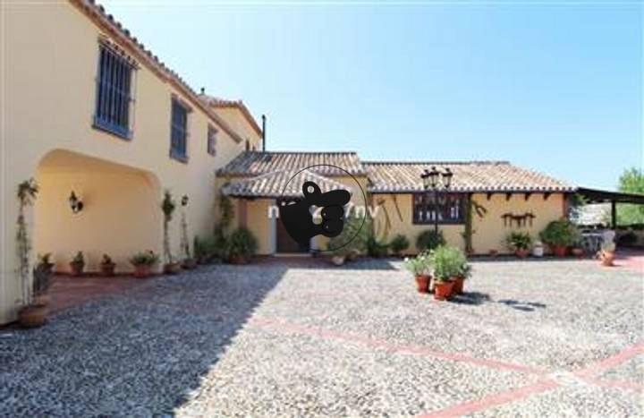 6 bedrooms other in Estepona, Spain