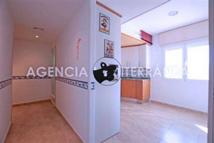 1 rooms apartment in Alicante, Spain