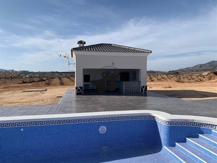 4 bedrooms house in Pinoso, Spain