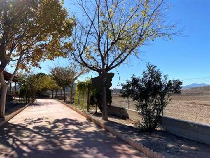 3 bedrooms other in Pinoso, Spain
