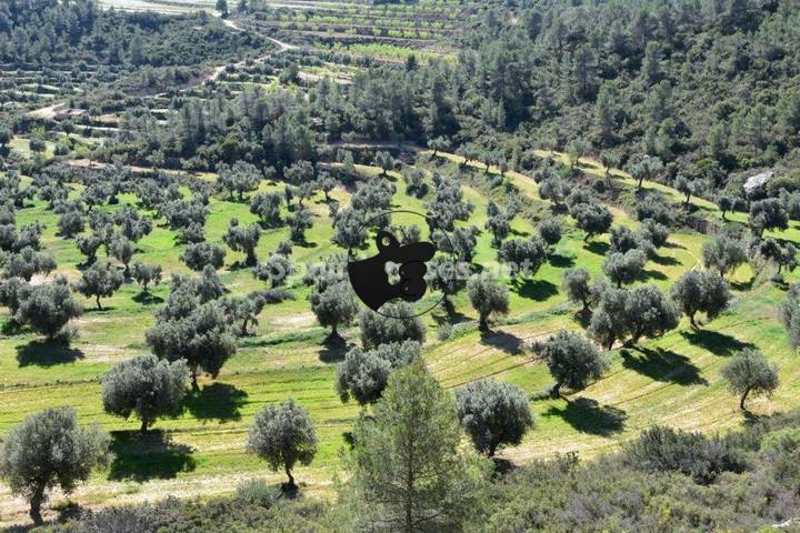 other in Calaceite, Teruel, Spain