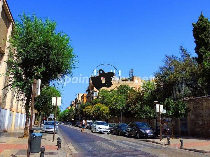 other in Granada, Granada, Spain