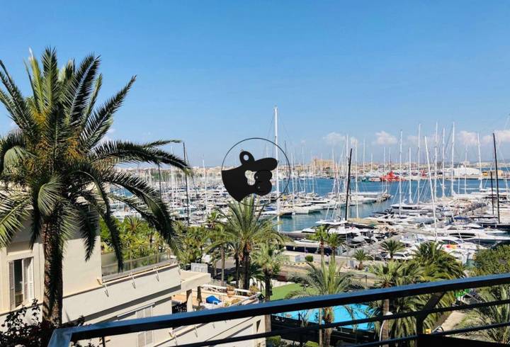 1 bedroom other in Palma de Mallorca, Balearic Islands, Spain