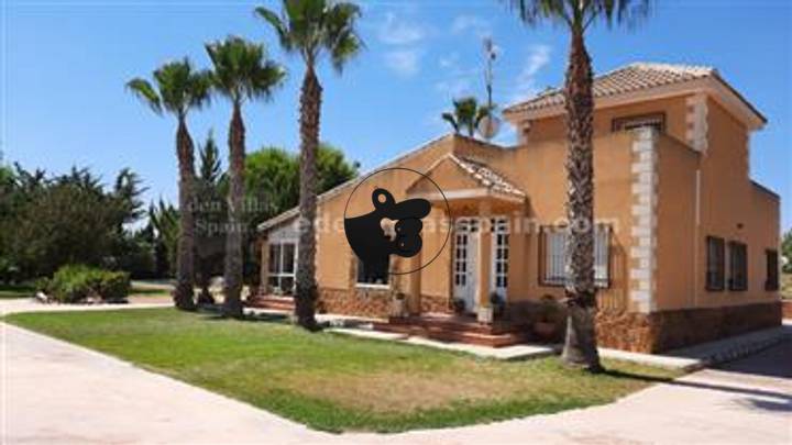 7 bedrooms house in Elche, Spain