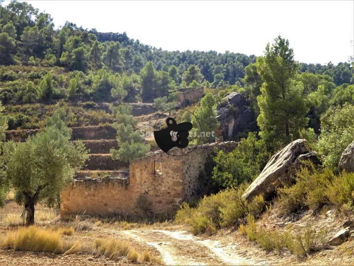 other in Maella, Zaragoza, Spain