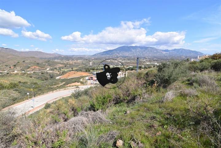 other in La Cala de Mijas, Spain