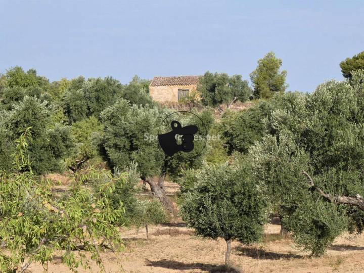 other in Maella, Zaragoza, Spain