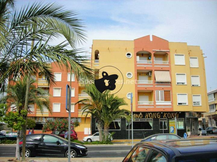 1 bedroom apartment in Guardamar del Segura, Alicante, Spain