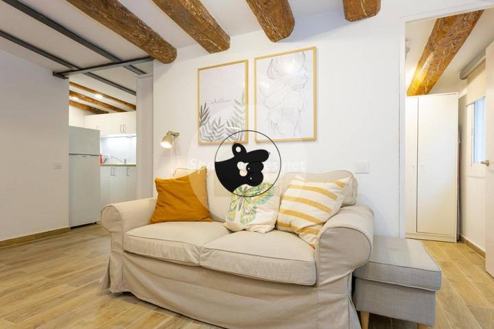 1 bedroom apartment in Barcelona, Barcelona, Spain