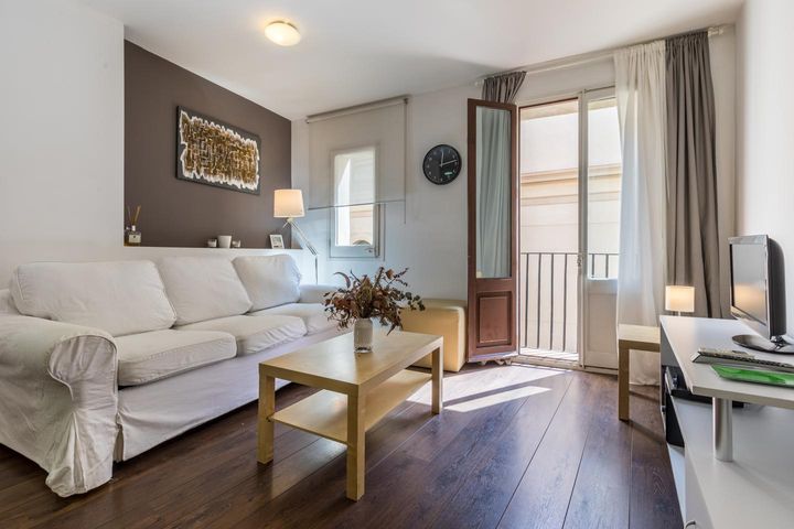 1 bedroom apartment for rent in Ciutat Vella, Spain