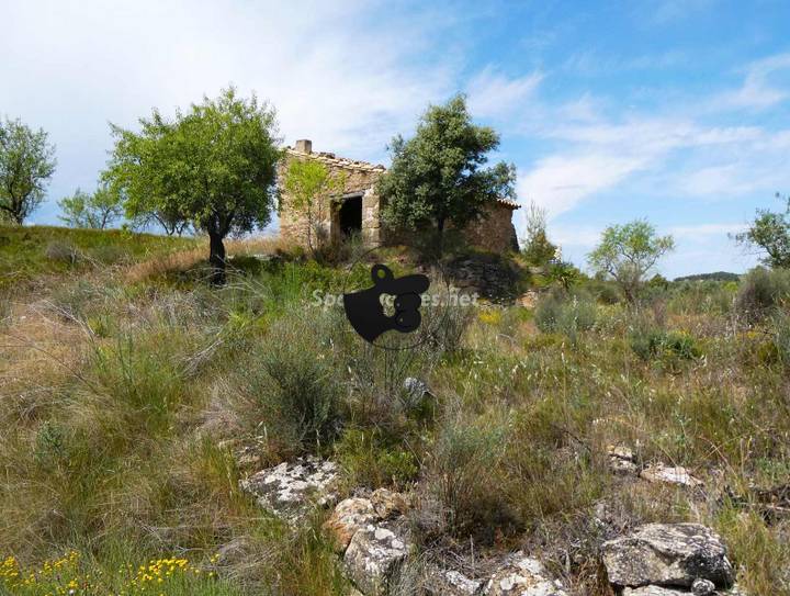 Other for sale in Calaceite, Teruel, Spain