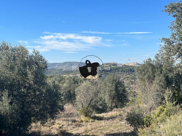 other in Torre del Compte, Teruel, Spain