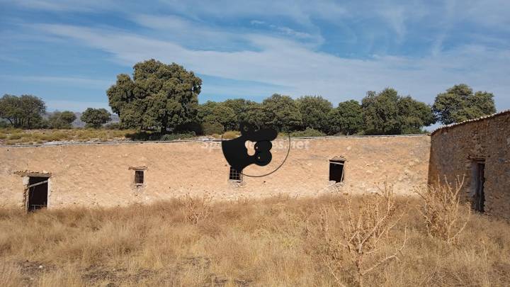 other in Santiago-Pontones, Jaen, Spain