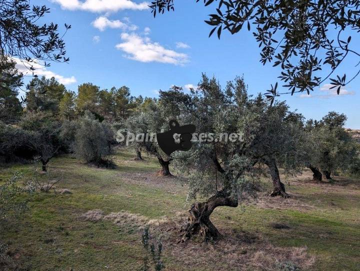 Other for sale in Calaceite, Teruel, Spain