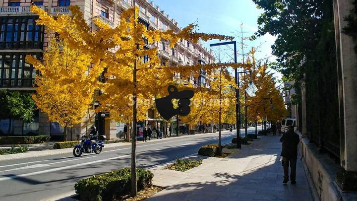 1 bedroom apartment in Granada, Granada, Spain