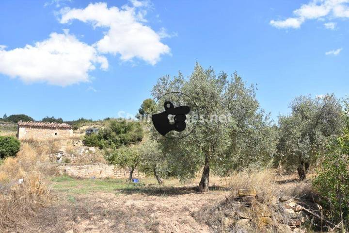 other in Mazaleon, Teruel, Spain