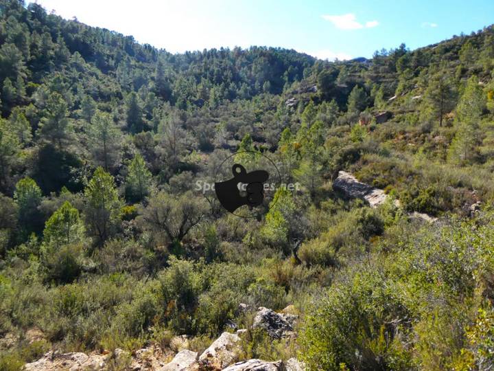 other in Calaceite, Teruel, Spain