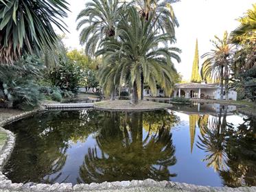  other in Málaga, Spain