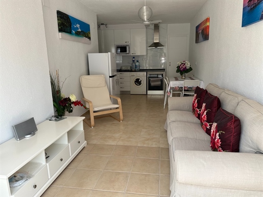 1 rooms apartment in Alicante, Spain