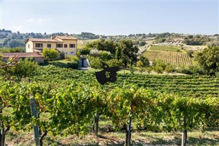 6 bedrooms other in Montefalco, Italy