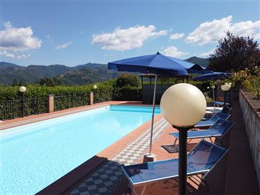 5 rooms other in Provincia di Lucca, Italy