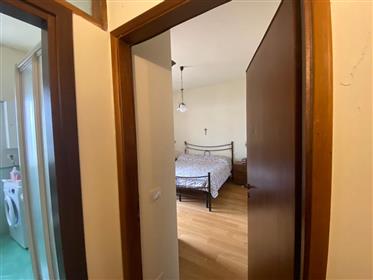 2 rooms other in Siena, Italy